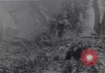 Standbild amerikanischen Infanteristen Bougainville Island Papua Neu Guinea, 1944, aus Sekunde 50 historischem Filmmaterial Videoclip 65675038249