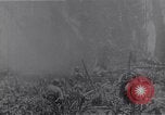 Standbild amerikanischen Infanteristen Bougainville Island Papua Neu Guinea, 1944, aus Sekunde 51 historischem Filmmaterial Videoclip 65675038249