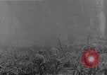Standbild amerikanischen Infanteristen Bougainville Island Papua Neu Guinea, 1944, aus Sekunde 53 historischem Filmmaterial Videoclip 65675038249
