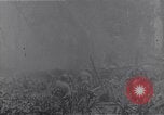 Standbild amerikanischen Infanteristen Bougainville Island Papua Neu Guinea, 1944, aus Sekunde 54 historischem Filmmaterial Videoclip 65675038249