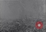 Standbild amerikanischen Infanteristen Bougainville Island Papua Neu Guinea, 1944, aus Sekunde 55 historischem Filmmaterial Videoclip 65675038249