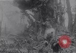 Standbild amerikanischen Infanteristen Bougainville Island Papua Neu Guinea, 1944, aus Sekunde 60 historischem Filmmaterial Videoclip 65675038249