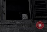Image of French soldiers Buonconvento Italy, 1944, second 60 stock footage video 65675038253