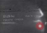 Image of young partisans Buonconvento Italy, 1944, second 4 stock footage video 65675038256