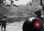 Immagine di Soldati statunitensi Francia, 1944, secondo 28 filmato di repertorio 65675038262