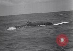 Immagine di British Spitfire aerei Francia, 1944, secondo 7 filmato di repertorio 65675038263