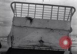 Image of German soldiers capture Allied prisoners after D-Day Normandy France, 1944, second 16 stock footage video 65675038268