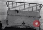 Image of German soldiers capture Allied prisoners after D-Day Normandy France, 1944, second 17 stock footage video 65675038268