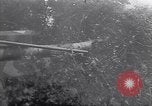 Image of German soldiers capture Allied prisoners after D-Day Normandy France, 1944, second 60 stock footage video 65675038268