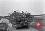Image of German soldiers Normandy France, 1944, second 35 stock footage video 65675038270