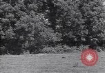 Standbild M-4 Tank Normandie Frankreich, 1944, aus Sekunde 16 historischem Filmmaterial Videoclip 65675038271