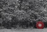 Standbild M-4 Tank Normandie Frankreich, 1944, aus Sekunde 32 historischem Filmmaterial Videoclip 65675038271