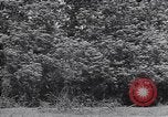 Standbild M-4 Tank Normandie Frankreich, 1944, aus Sekunde 33 historischem Filmmaterial Videoclip 65675038271