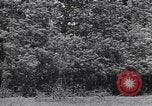 Standbild M-4 Tank Normandie Frankreich, 1944, aus Sekunde 35 historischem Filmmaterial Videoclip 65675038271