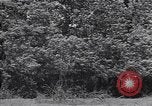 Standbild M-4 Tank Normandie Frankreich, 1944, aus Sekunde 37 historischem Filmmaterial Videoclip 65675038271