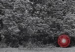 Standbild M-4 Tank Normandie Frankreich, 1944, aus Sekunde 38 historischem Filmmaterial Videoclip 65675038271
