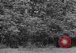 Standbild M-4 Tank Normandie Frankreich, 1944, aus Sekunde 39 historischem Filmmaterial Videoclip 65675038271