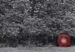 Standbild M-4 Tank Normandie Frankreich, 1944, aus Sekunde 40 historischem Filmmaterial Videoclip 65675038271