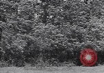 Standbild M-4 Tank Normandie Frankreich, 1944, aus Sekunde 43 historischem Filmmaterial Videoclip 65675038271