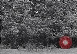 Standbild M-4 Tank Normandie Frankreich, 1944, aus Sekunde 44 historischem Filmmaterial Videoclip 65675038271