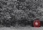 Standbild M-4 Tank Normandie Frankreich, 1944, aus Sekunde 45 historischem Filmmaterial Videoclip 65675038271