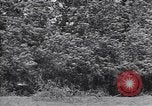 Standbild M-4 Tank Normandie Frankreich, 1944, aus Sekunde 46 historischem Filmmaterial Videoclip 65675038271