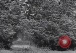 Standbild M-4 Tank Normandie Frankreich, 1944, aus Sekunde 49 historischem Filmmaterial Videoclip 65675038271