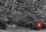 Standbild M-4 Tank Normandie Frankreich, 1944, aus Sekunde 51 historischem Filmmaterial Videoclip 65675038271