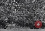Standbild M-4 Tank Normandie Frankreich, 1944, aus Sekunde 52 historischem Filmmaterial Videoclip 65675038271