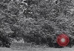 Standbild M-4 Tank Normandie Frankreich, 1944, aus Sekunde 53 historischem Filmmaterial Videoclip 65675038271
