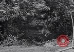 Standbild M-4 Tank Normandie Frankreich, 1944, aus Sekunde 59 historischem Filmmaterial Videoclip 65675038271