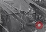 Immagine di Il tedesco infermieri Normandia Francia, 1944, secondo 14 filmato di repertorio 65675038275