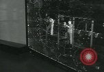 Image dirigeable radar Pays-Bas, 1961, de la seconde 51 séquences d'archives historiques vidéo 65675038291