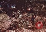 Image of Viet Cong Army Vietnam, 1974, second 6 stock footage video 65675038307