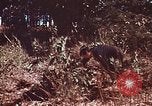 Image of Viet Cong Army Vietnam, 1974, second 7 stock footage video 65675038307
