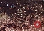 Image of Viet Cong Army Vietnam, 1974, second 8 stock footage video 65675038307