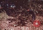 Image of Viet Cong Army Vietnam, 1974, second 9 stock footage video 65675038307