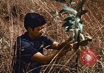 Image of Viet Cong Army Vietnam, 1974, second 27 stock footage video 65675038307