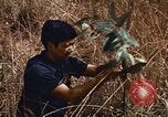 Image of Viet Cong Army Vietnam, 1974, second 28 stock footage video 65675038307
