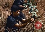 Image of Viet Cong Army Vietnam, 1974, second 29 stock footage video 65675038307