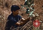 Image of Viet Cong Army Vietnam, 1974, second 30 stock footage video 65675038307