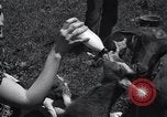 Immagine di Capretti United States USA, 1936, secondo 22 filmato di repertorio 65675038319