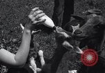 Immagine di Capretti United States USA, 1936, secondo 23 filmato di repertorio 65675038319