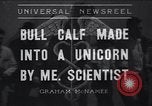Image of unicorn Maine United States USA, 1936, second 1 stock footage video 65675038322