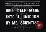 Image of unicorn Maine United States USA, 1936, second 4 stock footage video 65675038322