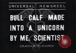 Image of unicorn Maine United States USA, 1936, second 5 stock footage video 65675038322