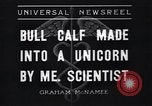 Image of unicorn Maine United States USA, 1936, second 6 stock footage video 65675038322