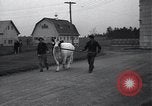 Image of unicorn Maine United States USA, 1936, second 10 stock footage video 65675038322