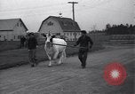 Image of unicorn Maine United States USA, 1936, second 11 stock footage video 65675038322