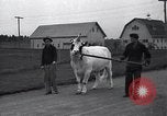 Image of unicorn Maine United States USA, 1936, second 14 stock footage video 65675038322